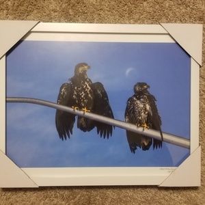 Photo with frame 11x14